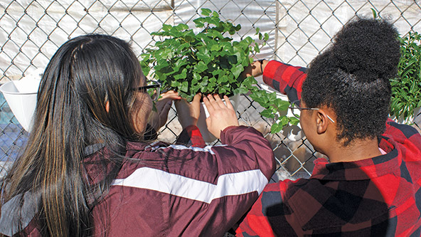Estudiantes montando los maceteros de Plant Seads 