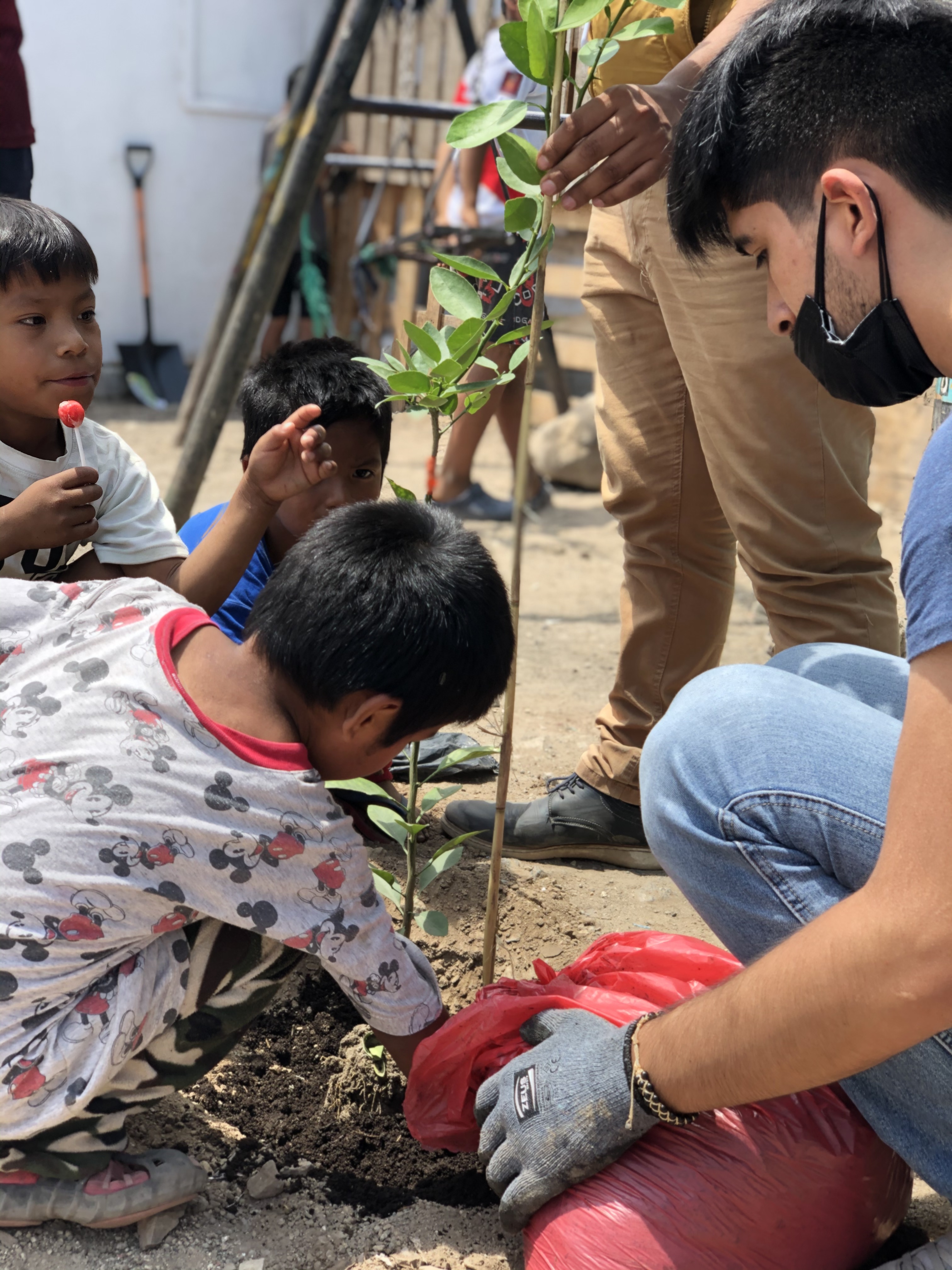 Niño y joven trabajan con un huerto