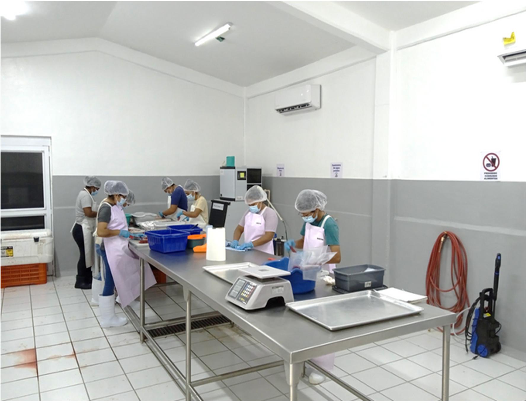 personas en una empacadora de pescados 