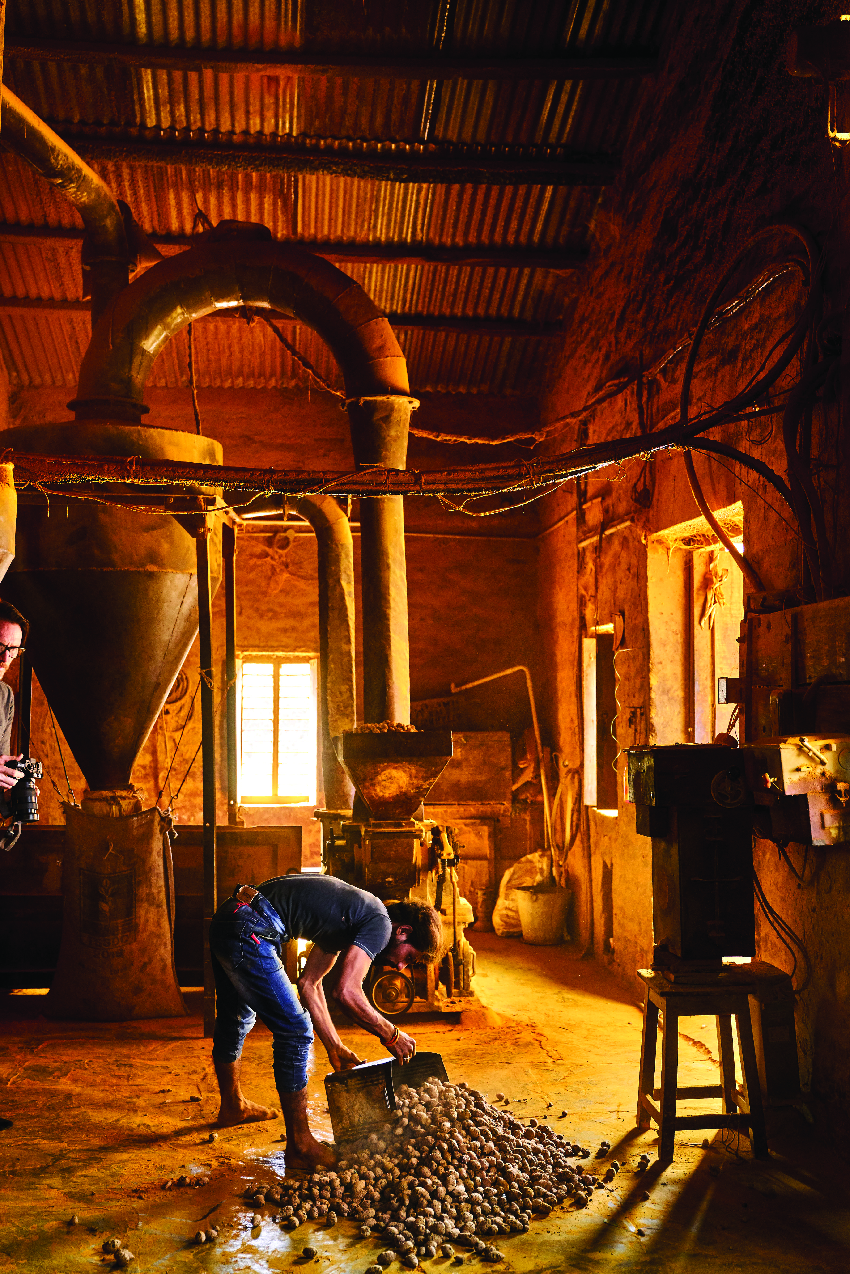 Un hombre moliendo cúrcuma Pragati en los campos de Vijayawada, India en 2020.