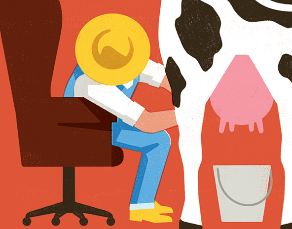 Una vaca es ordeñada por un granjero de sombrero amarillo