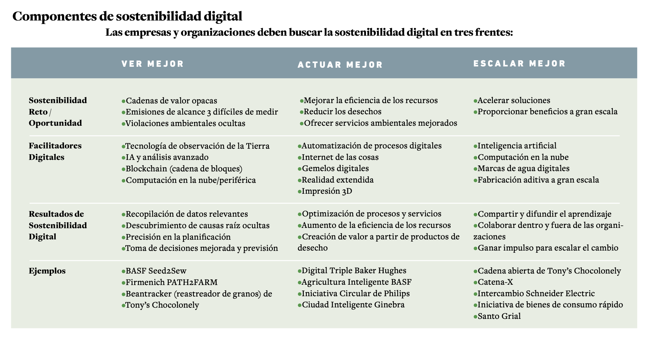 componentes de la sostenibilidad digital