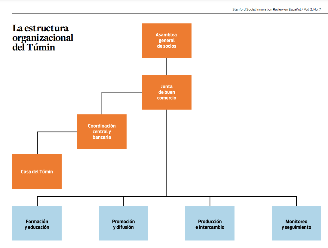 estructura organizacional del tumin