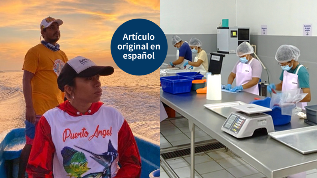 Mareas de cambio para transformar la pesca en México 🇲🇽