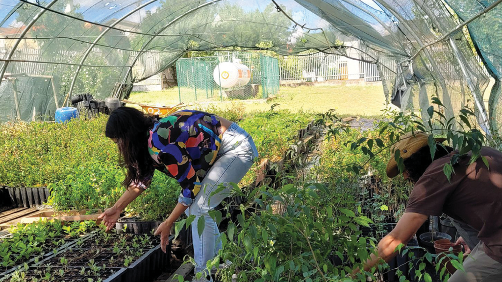 Restaurar la biodiversidad en Portugal