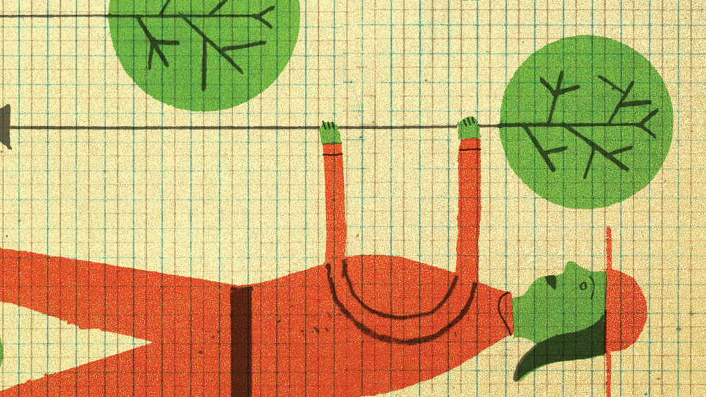 ¿Conoces la agrosilvicultura? 